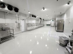 Trivex (D13), Factory #454791321